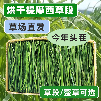 [2026年烘干提摩西草兔子草料多叶南提荷兰猪牧草龙猫豚鼠北提草段]