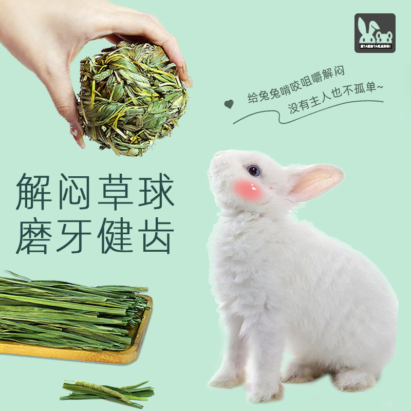 兔子玩具解闷龙猫荷兰猪豚鼠耐咬啃草球提摩西草磨牙零食兔子用品_虎窝淘