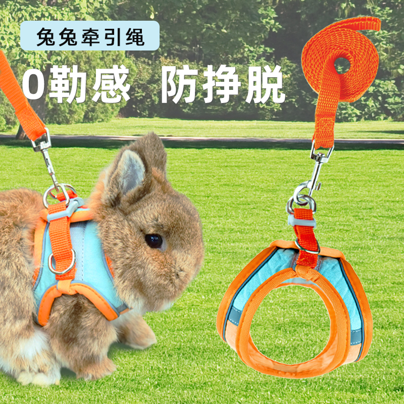 牛宠牵引绳防挣脱外出牵引