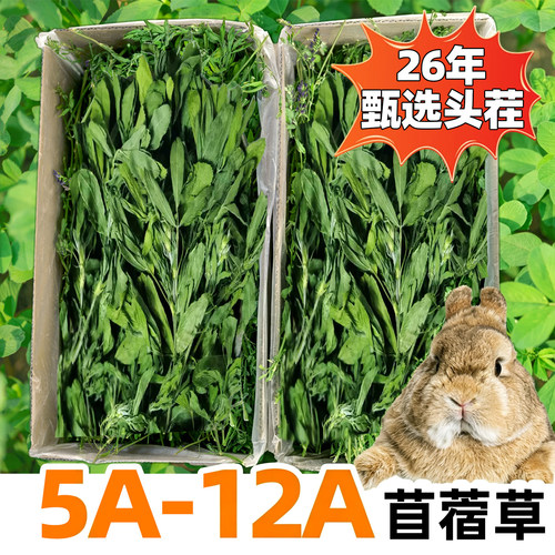 26年牛宠5-12A级苜蓿草兔子豚鼠