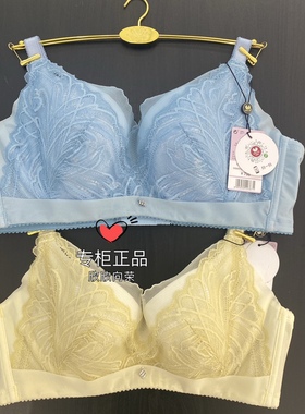 WB8813华歌尔powershape铂尔西24款大胸全罩杯稳定圆润文胸798