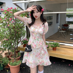 Real shot real price sweet pink oil painting floral dress femininity waist show thin bubble sleeve skirt