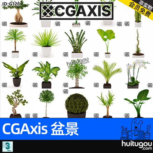 CGAXIS 3D Potted Plants Collection[盆景]绿植盆栽单体模型MAX