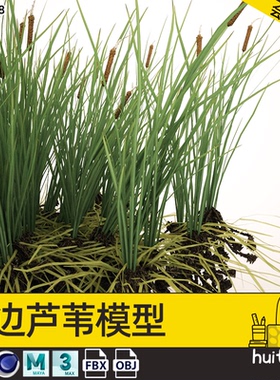 【7248】C4D写实草本植物芦苇模型MAYA野外花草FBX建模3D素材文件
