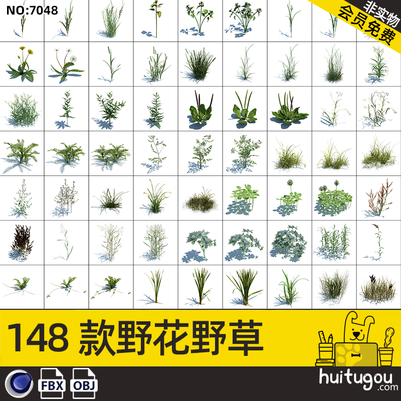 写实 绿化植物3D模型野花野草C4D三叶草蒲公英FBX设计渲染OBJ文件