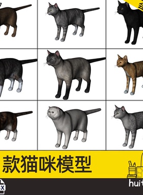 C4D写实小猫单体模型带骨骼绑定FBX动物黑灰色猫咪豹猫3D模型素材