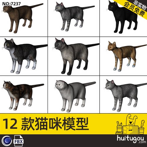 C4D写实小猫单体模型带骨骼绑定FBX动物黑灰色猫咪豹猫3D模型素材