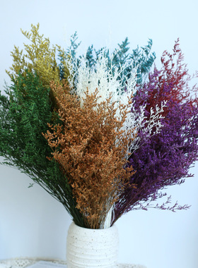 漂白情人草 彩色永生花 DIY插花花材 花束配花家居装饰客厅摆件