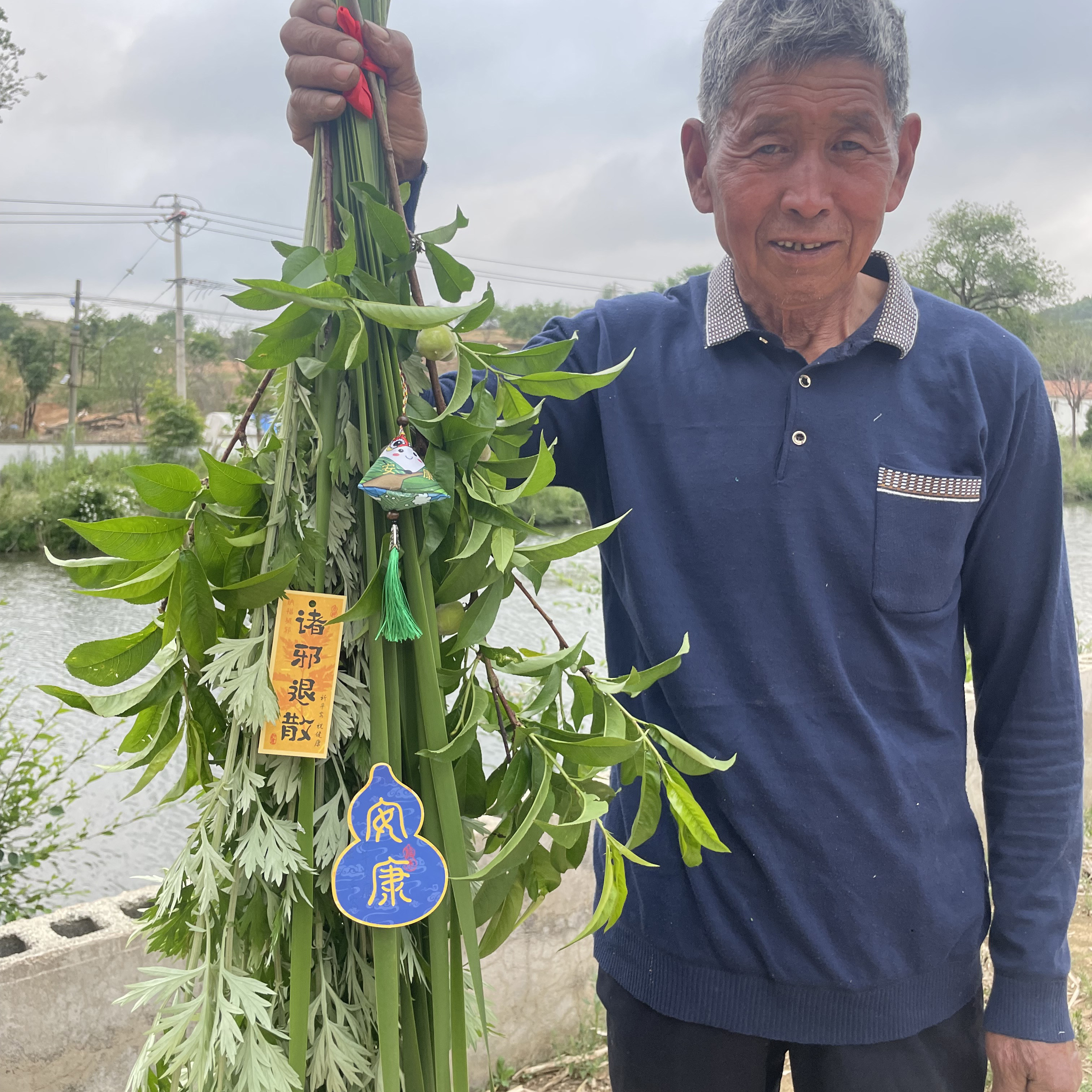 端午节新鲜艾草菖蒲花束挂门窗艾蒿驱蚊整颗艾叶香包门挂香囊挂件