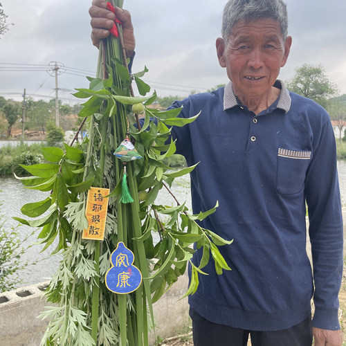 端午节挂门窗新鲜艾草菖蒲花束