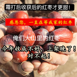 (今年的新红枣上架!)山西农家自种老树土红枣未清洗土窑洞保存