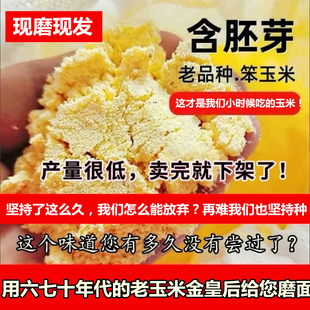 (老人循环留种几十年的金皇后老玉米)山西农家玉米面带皮带胚芽