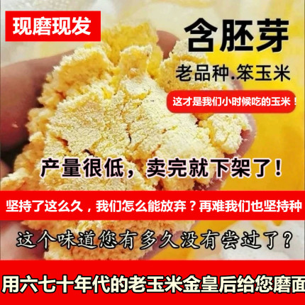 （老人循环留种几十年的金皇后老玉米）山西农家玉米面带皮带胚芽