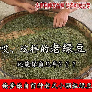 小颗粒绿豆 山西农家老山区老式 俺爹娘每年自留种老品种绿豆