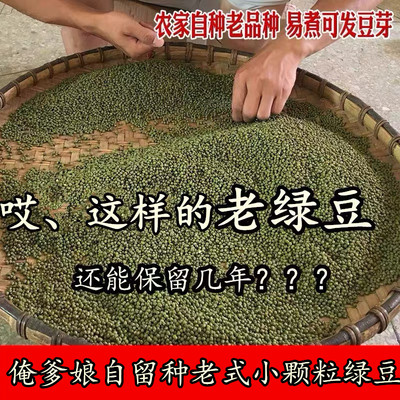 （俺爹娘每年自留种老品种绿豆）山西农家老山区老式小颗粒绿豆