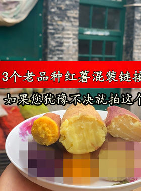 三个老品种红薯混装口感真的好!