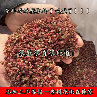 (大山里自然生长的花椒,不参假,不染色)山西农家自种干花椒