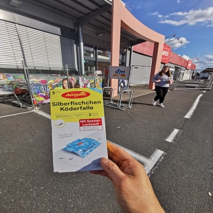 德国空运直邮Aeroxon银鱼虫蟑螂粘板家用陷阱衣鱼虫饵盒 天然无味