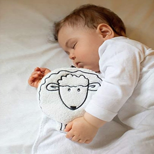 德国直邮Fashy Kids玩偶小羊羔注水热水袋毛绒小号微波炉烤箱加热