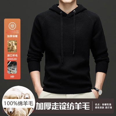 秋冬男羊毛卫衣加厚带帽卫衣100纯羊毛衫宽松毛衣老钱风休闲外套