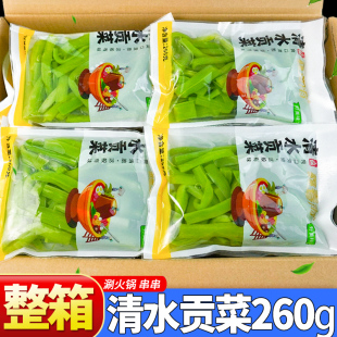 现成鲜贡菜260g*40袋整箱商用清水贡菜袋装火锅菜蔬菜凉菜非干货