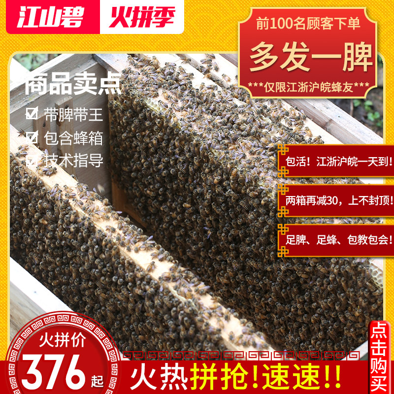 浙江中蜂群土蜂活体中华蜜蜂野蜂带王子脾蜂皮蜂箱全套非笼蜂出售在类目 畜牧/养殖物资, 蜂场养殖物资, 养蜂巢础中 - 来自Buy2taobao.com提供专业的淘宝代购服务