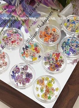 网红ins春日繁花油画风干花真花 莫奈花园五瓣花小花朵美甲饰品