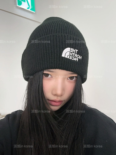 派姐 in Korea 北面普标26保暖防寒毛线帽针织帽冷帽男女NE3BS53