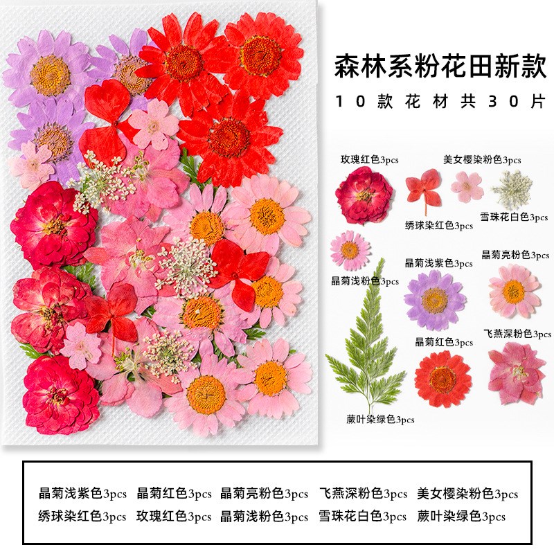 树叶植物标本幼儿园手工贴画IY干花压花贴脸装饰花妆写真押花图片