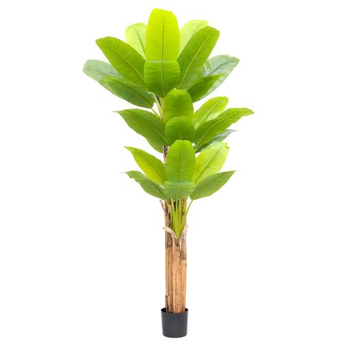 室内软装大型仿真植物芭蕉树盆栽橱窗落地装饰热带绿植香蕉树盆景
