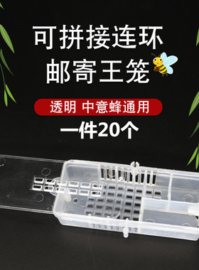 邮寄王笼可拼接塑料王笼透明蜂笼