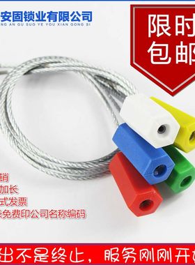 一次性抽紧钢丝封条铅封施封锁