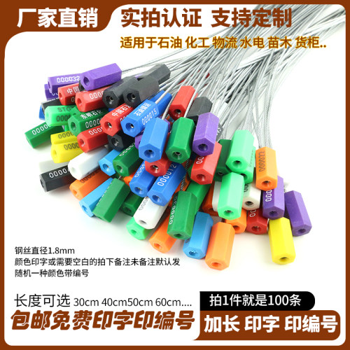 一次性钢丝铅封抽紧防盗封签扎带