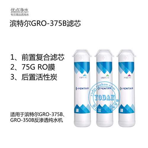 滨特尔PENTAIRRO350B/375B滤芯