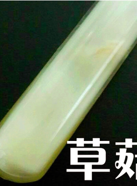 草菇菌种母种一级种二级种原种