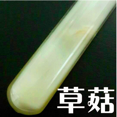 草菇菌种母种一级种二级种原种
