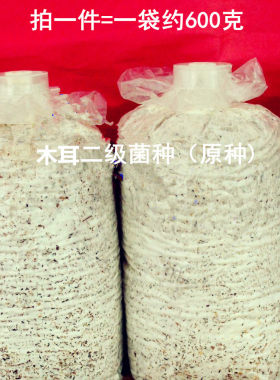 黑木耳菌种种子袋料种食用菌菌种