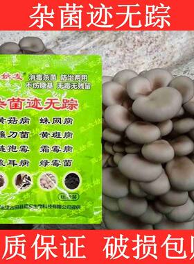 氩太姑友杂菌迹无踪消毒杀菌