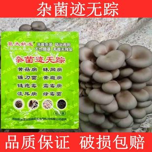 氩太姑友杂菌迹无踪蛛网病镰刀菌流耳链孢霉霜霉羊肚菌菇病清 包邮