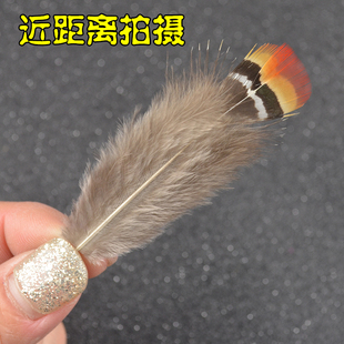 锦鸡红头羽毛diy手工耳环制作辅料蒱梦网羽毛20根纯天然野禽鸡毛