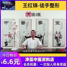 王红锦徒手整形 面部班身体班 高清视视培训课程