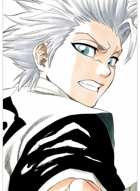 死神日番谷冬狮郎同人贴