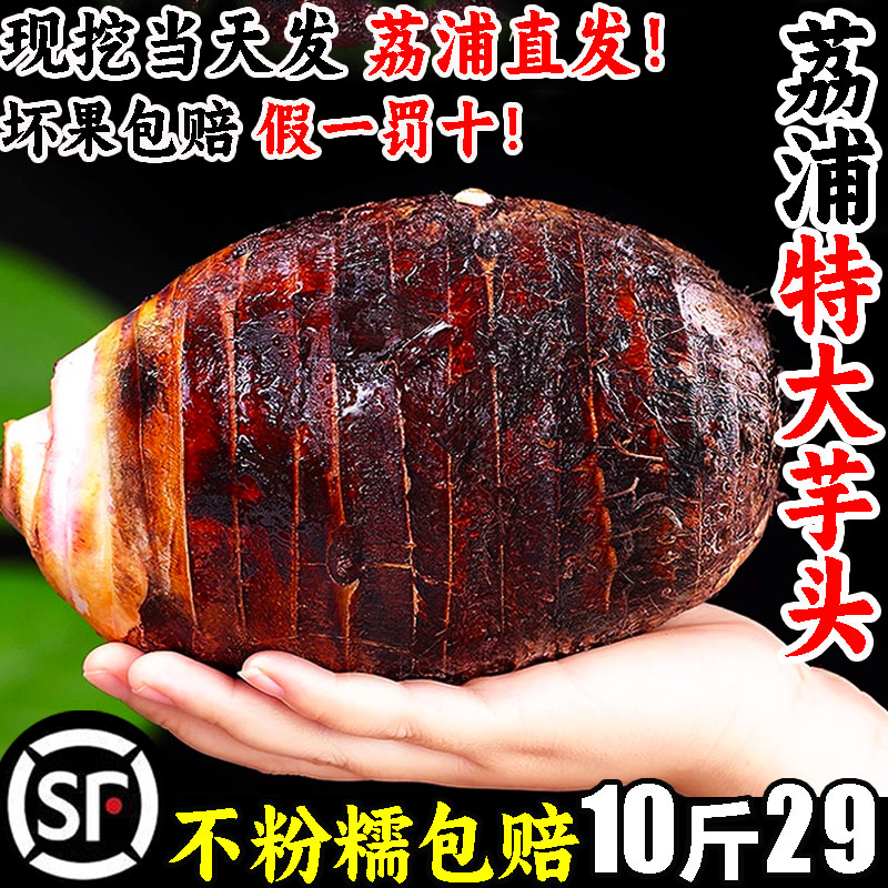 广西正宗荔浦芋头新鲜香芋艿粉糯商用大10斤新鲜农家批发子儿奶香