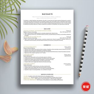 英文简历模板 简洁大气 外企求职英文简历 店家推荐 word文档制作