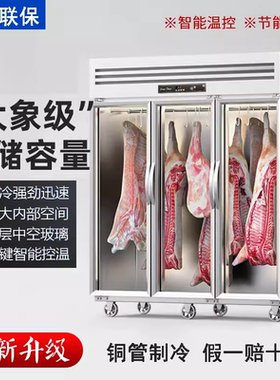 冷藏展示冷冻鲜肉排酸冰柜挂肉柜