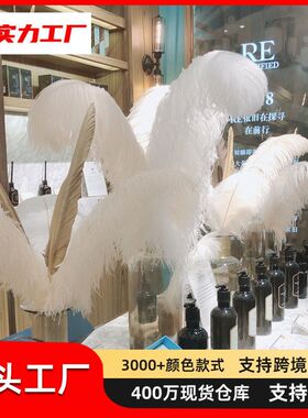 厂家批发15-80cm大鸵鸟毛白色羽毛装饰婚庆路引拍照道具客厅摆件