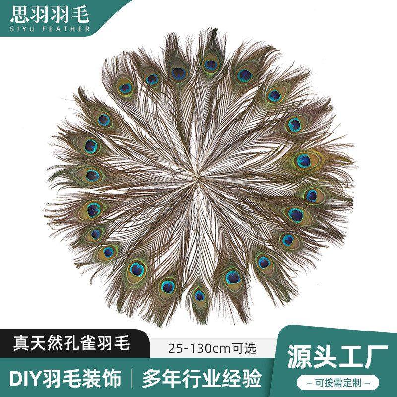 跨境优质天然孔雀毛25-120cm家居装饰长羽毛花瓶插花装饰孔雀羽毛,纺织面料/辅料/配套,羽绒填充物,淘宝优惠券,粉丝福利购,淘宝优惠卷