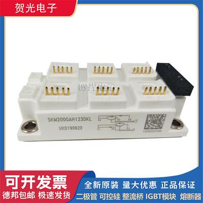 SKM200GAH126DKLT变频IGBT模块SKM200GAH123DKL