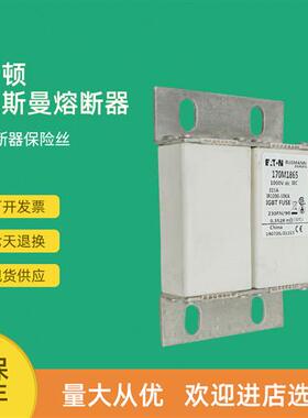 全新快速熔断器保险170M1865 170M1866 170M1867 170M1868