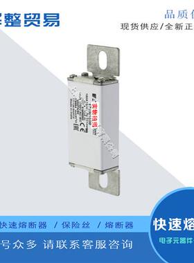 巴斯曼全新原装快速熔断器保险丝170M1853 170M1865